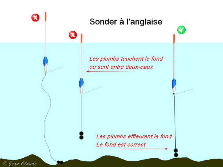 Bien débuter la pêche à l anglaise au waggler Chtipecheur