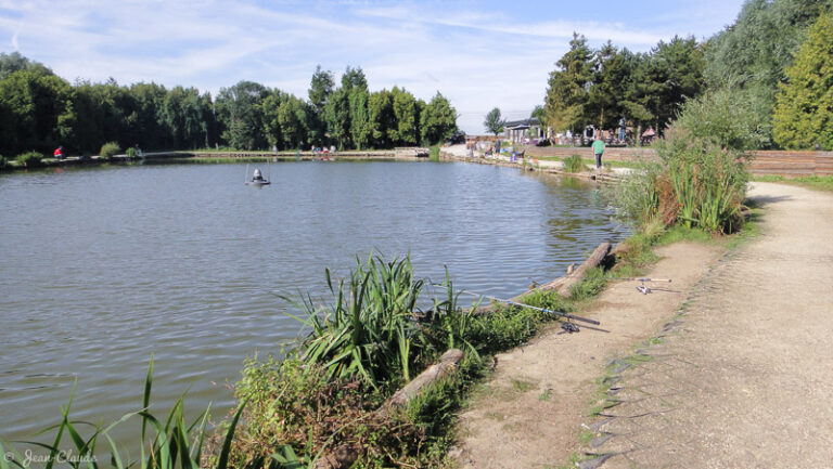 Pêcher la truite en étang