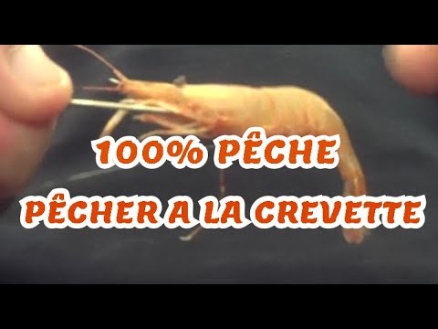 Pêche à la crevette : conseils et techniques d&#039;eschage