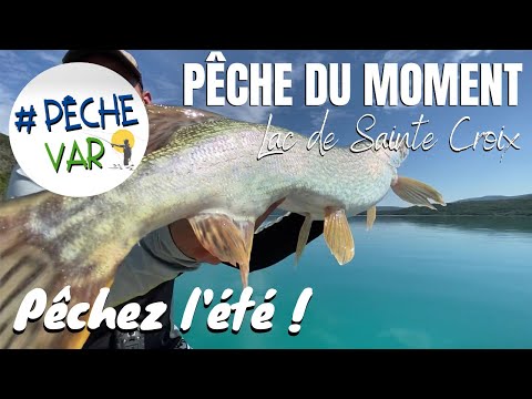 PÊCHE DU MOMENT - Lac de Sainte Croix